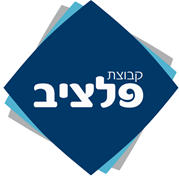 קבוצת פלציב